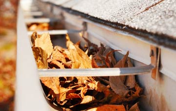 Nemphlar gutter cleaning companies
